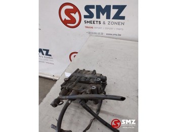 : fotogrāfija galvenē