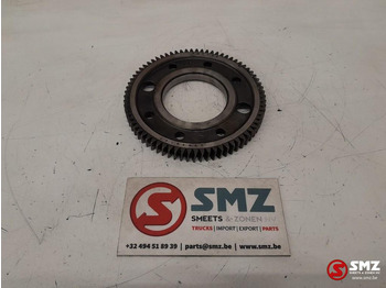 : fotogrāfija galvenē