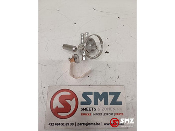 : fotogrāfija galvenē