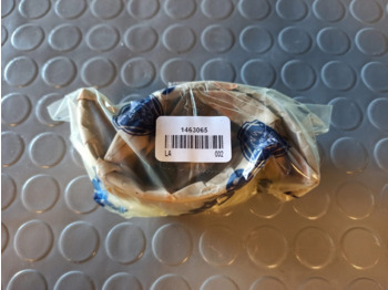 : fotogrāfija galvenē
