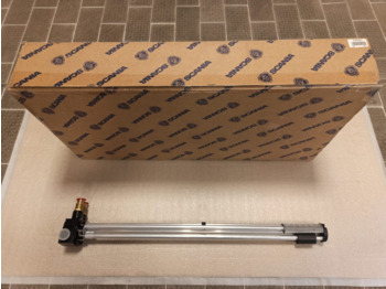 : fotogrāfija galvenē