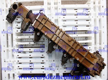 : fotogrāfija galvenē