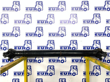 Kardānvārpsta RENAULT