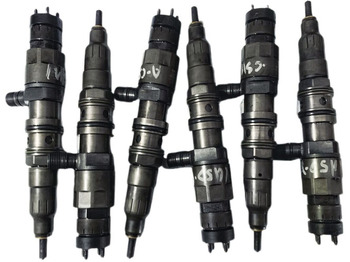 : fotogrāfija galvenē