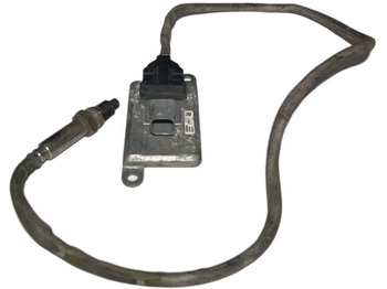 : fotogrāfija galvenē