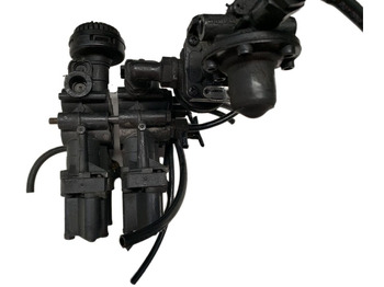 : fotogrāfija galvenē