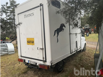 Zirgu kravas automašīna MERCEDES-BENZ 316 CDI: foto 5