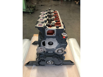 Cilindru bloks LONGBLOCK MERCEDES OM924LA / MERCEDES OM924 LA: foto 2