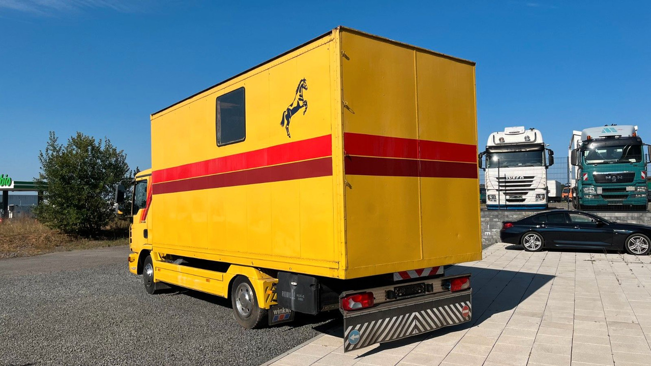 MAN TGL 10.180 Euro 4 Pferdetransporter Horse MAN TGL 10.180 Euro 4 Pferdetransporter Horse - Zirgu kravas automašīna: foto 5 MAN TGL 10.180 Euro 4 Pferdetransporter Horse MAN TGL 10.180 Euro 4 Pferdetransporter Horse - Zirgu kravas automašīna: foto 5