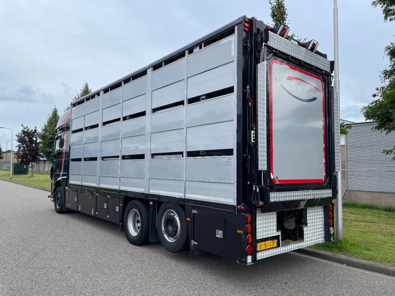 DAF XF 460 2017 berdex 3 lagen varkens - Kravas automašīna dzīvnieku pārvadāšanai: foto 2 DAF XF 460 2017 berdex 3 lagen varkens - Kravas automašīna dzīvnieku pārvadāšanai: foto 2