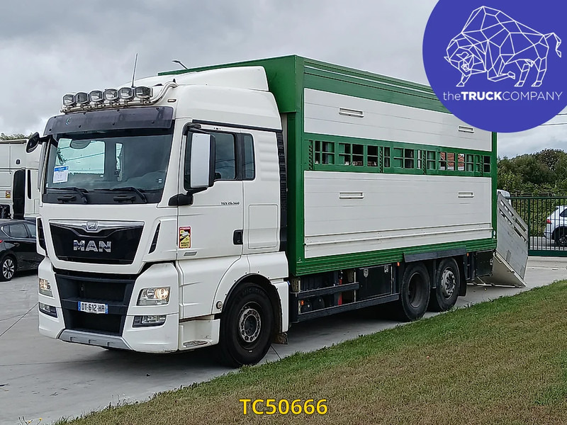 MAN TGX 460 - Kravas automašīna dzīvnieku pārvadāšanai: foto 1 MAN TGX 460 - Kravas automašīna dzīvnieku pārvadāšanai: foto 1