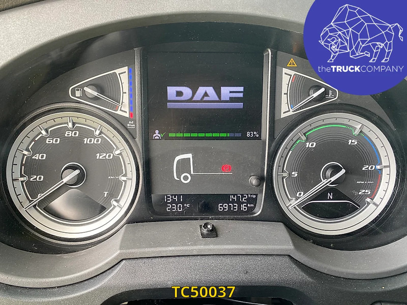 Vilcējs DAF XF 480: foto 8