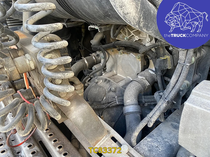 Vilcējs MAN TGX 460: foto 12