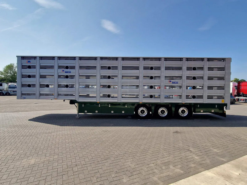 Onbekend Molas 5 deck Livestock trailer - Water & Ventilation - Loadlift - NEW! - - Puspiekabe dzīvnieku pārvadāšanai: foto 5 Onbekend Molas 5 deck Livestock trailer - Water & Ventilation - Loadlift - NEW! - - Puspiekabe dzīvnieku pārvadāšanai: foto 5
