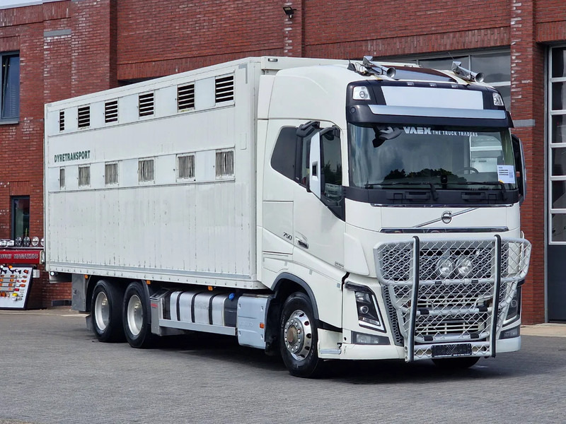 Volvo FH 16.750 6x6/6x4 2 deck livestock - Full air - VEB + - Kravas automašīna dzīvnieku pārvadāšanai: foto 2 Volvo FH 16.750 6x6/6x4 2 deck livestock - Full air - VEB + - Kravas automašīna dzīvnieku pārvadāšanai: foto 2