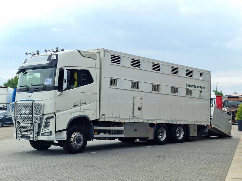 Volvo FH 16.750 6x6/6x4 2 deck livestock - Full air - VEB + - Kravas automašīna dzīvnieku pārvadāšanai: foto 4 Volvo FH 16.750 6x6/6x4 2 deck livestock - Full air - VEB + - Kravas automašīna dzīvnieku pārvadāšanai: foto 4