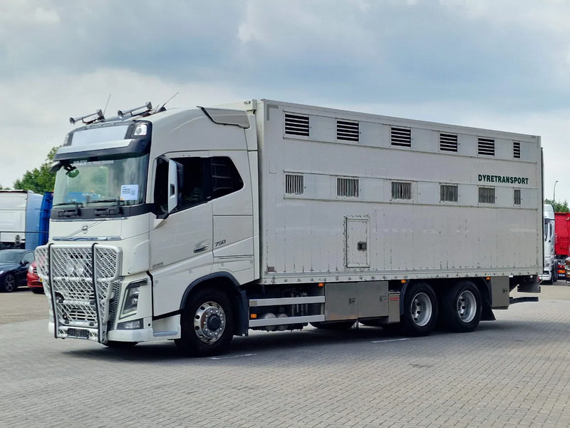 Volvo FH 16.750 6x6/6x4 2 deck livestock - Full air - VEB + - Kravas automašīna dzīvnieku pārvadāšanai: foto 5 Volvo FH 16.750 6x6/6x4 2 deck livestock - Full air - VEB + - Kravas automašīna dzīvnieku pārvadāšanai: foto 5