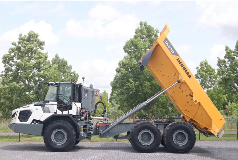 Artikulētias pašizgāzējs Liebherr TA230 | TAILGATE | GOOD CONDITION: foto 1