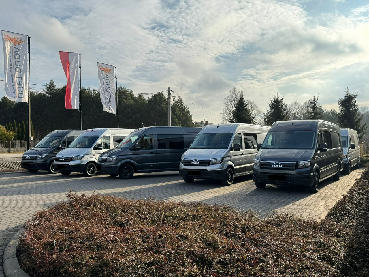 Kravas mikroautobuss Man TGE: foto 14