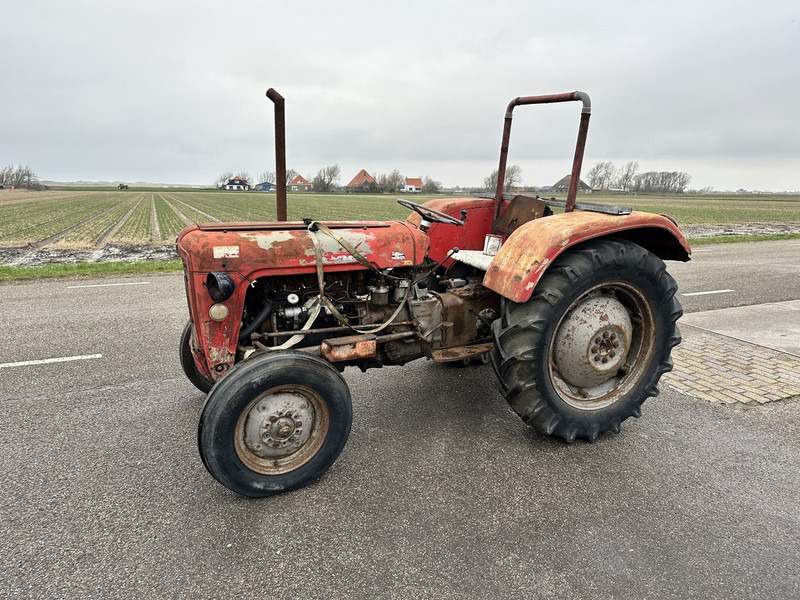 Massey Ferguson 35 - Traktors: foto 1 Massey Ferguson 35 - Traktors: foto 1