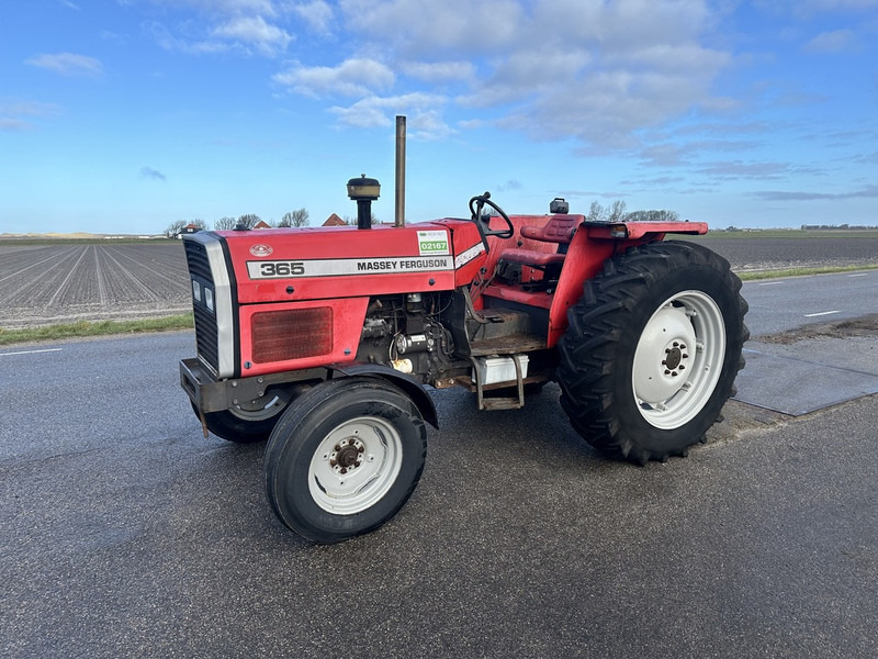 Massey Ferguson 365 - Traktors: foto 1 Massey Ferguson 365 - Traktors: foto 1