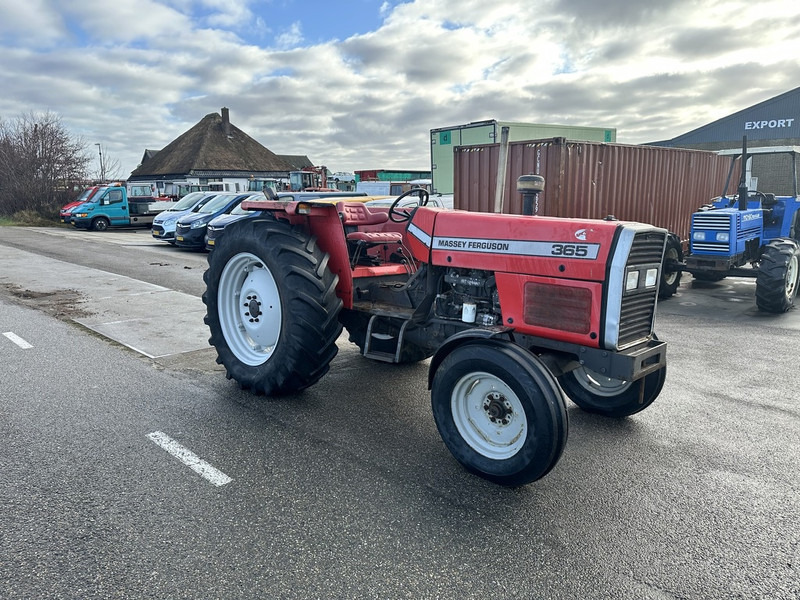 Massey Ferguson 365 - Traktors: foto 3 Massey Ferguson 365 - Traktors: foto 3
