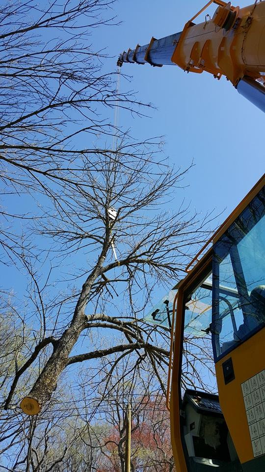 Liebherr LTM 1120-1 - Autoceltnis: foto 4 Liebherr LTM 1120-1 - Autoceltnis: foto 4