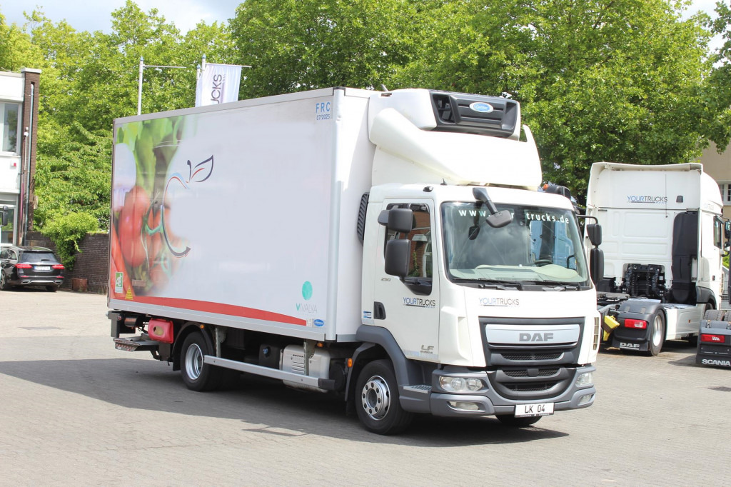 Kravas automašīna refrižerators Daf LF 260 E6  Carrier Supra 550   Strom  Tür   LBW: foto 9