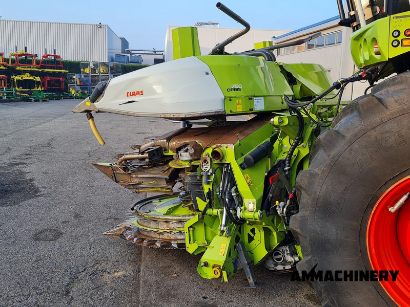 Kukurūzas heders pārvadāšana ēdiena Claas Orbis 750 I63 rotary corn header: foto 18