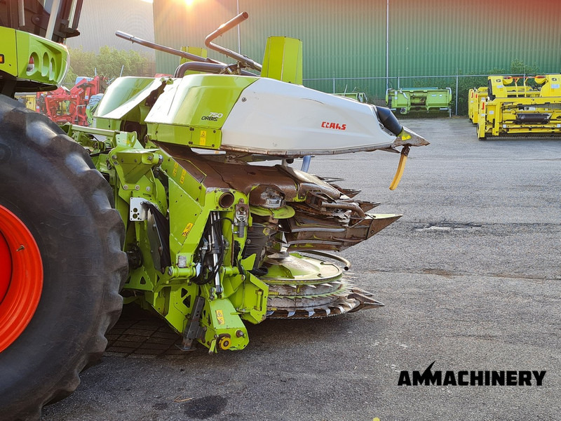 Kukurūzas heders pārvadāšana ēdiena Claas Orbis 750 I63 rotary corn header: foto 17