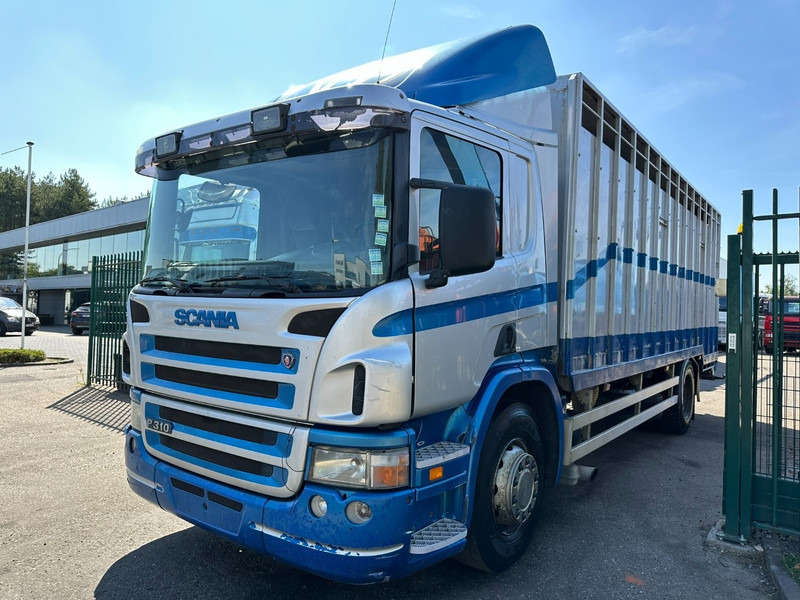 Scania P310 4x2 LIVESTOCK / VEEWAGEN / TIERTRANSPORT / BETAILLERE - ALU BOX 7m - MANUAL - A/C - BELGIAN TRUCK - Kravas automašīna dzīvnieku pārvadāšanai: foto 3 Scania P310 4x2 LIVESTOCK / VEEWAGEN / TIERTRANSPORT / BETAILLERE - ALU BOX 7m - MANUAL - A/C - BELGIAN TRUCK - Kravas automašīna dzīvnieku pārvadāšanai: foto 3