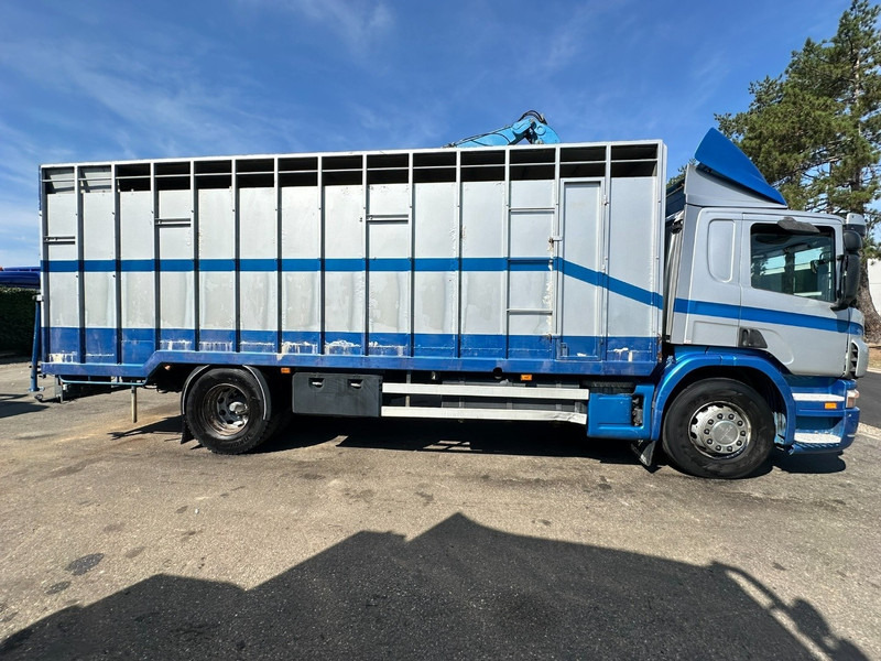 Scania P310 4x2 LIVESTOCK / VEEWAGEN / TIERTRANSPORT / BETAILLERE - ALU BOX 7m - MANUAL - A/C - BELGIAN TRUCK - Kravas automašīna dzīvnieku pārvadāšanai: foto 4 Scania P310 4x2 LIVESTOCK / VEEWAGEN / TIERTRANSPORT / BETAILLERE - ALU BOX 7m - MANUAL - A/C - BELGIAN TRUCK - Kravas automašīna dzīvnieku pārvadāšanai: foto 4