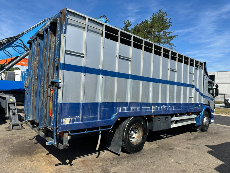 Scania P310 4x2 LIVESTOCK / VEEWAGEN / TIERTRANSPORT / BETAILLERE - ALU BOX 7m - MANUAL - A/C - BELGIAN TRUCK - Kravas automašīna dzīvnieku pārvadāšanai: foto 5 Scania P310 4x2 LIVESTOCK / VEEWAGEN / TIERTRANSPORT / BETAILLERE - ALU BOX 7m - MANUAL - A/C - BELGIAN TRUCK - Kravas automašīna dzīvnieku pārvadāšanai: foto 5