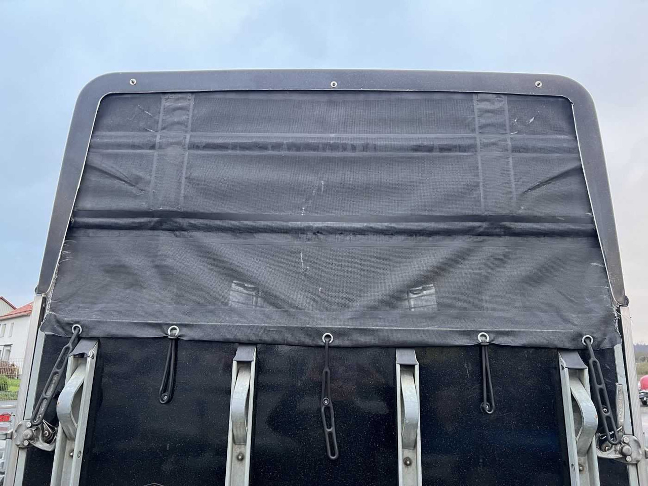 Zirgu piekabe BOECKMANN Master S - WCF ALB Pferdeanhänger: foto 13 Zirgu piekabe BOECKMANN Master S - WCF ALB Pferdeanhänger: foto 13