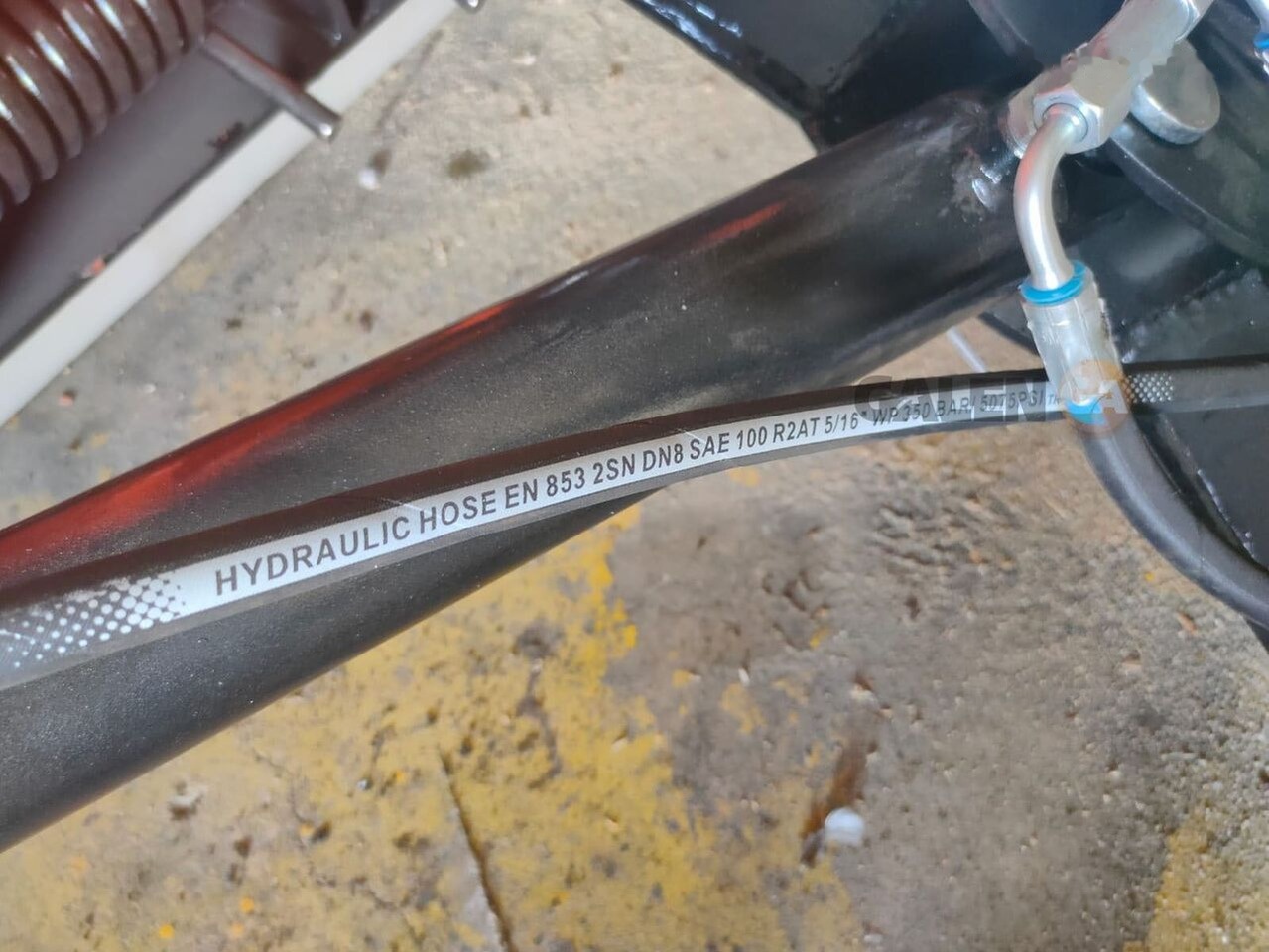 Galen New - Sniega arkls: foto 4 Galen New - Sniega arkls: foto 4