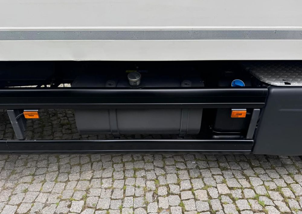 Kravas automašīna refrižerators Scania P250: foto 9 Kravas automašīna refrižerators Scania P250: foto 9