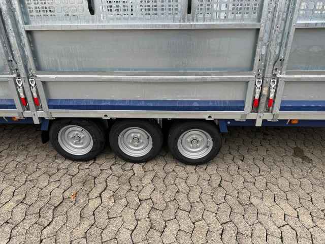 Brian James Cargo Connect Universalanhänger 476-6022-35-3-12, 6000 x 2250 x 300 mm, 3,5 to., 12 Zoll - Auto piekabe: foto 4 Brian James Cargo Connect Universalanhänger 476-6022-35-3-12, 6000 x 2250 x 300 mm, 3,5 to., 12 Zoll - Auto piekabe: foto 4