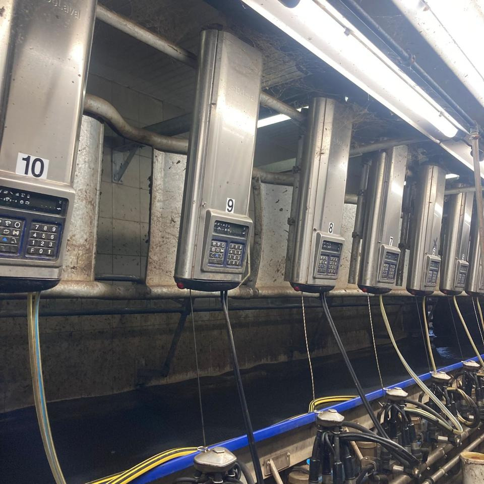 DeLaval Fischgrätenmelkstand Doppel 10er - Slaukšanas tehnika: foto 1 DeLaval Fischgrätenmelkstand Doppel 10er - Slaukšanas tehnika: foto 1