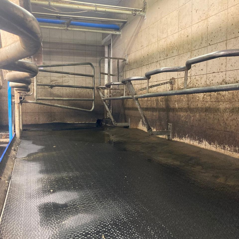 DeLaval Fischgrätenmelkstand Doppel 10er - Slaukšanas tehnika: foto 2 DeLaval Fischgrätenmelkstand Doppel 10er - Slaukšanas tehnika: foto 2