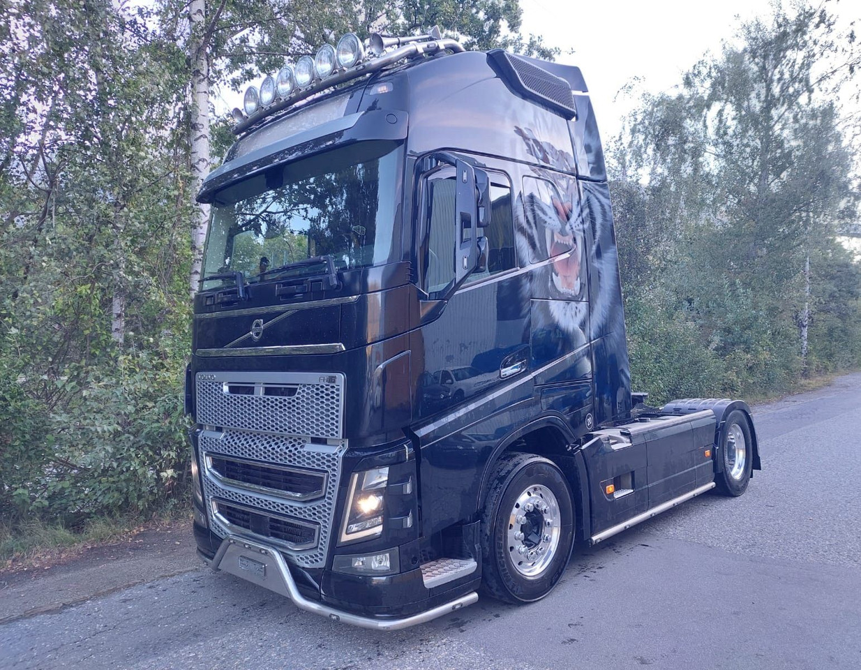 Volvo FH16-650 4x2, Euro 6, VEB, airbrush - Vilcējs: foto 1 Volvo FH16-650 4x2, Euro 6, VEB, airbrush - Vilcējs: foto 1