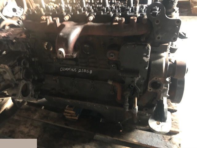 Cummins Qsb 6.7 - Wałek Rozrządu - Sadales vārpsta - Lauksaimniecības tehnika: foto 3 Cummins Qsb 6.7 - Wałek Rozrządu - Sadales vārpsta - Lauksaimniecības tehnika: foto 3