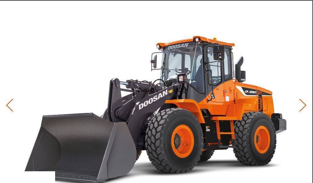 Rezerves daļa - Riteņu iekrāvējs Doosan DL 250 -  Zwolnica - Zwrotnica - Półoś - Skrzynia - Silnik - Siłowniki: foto 11
