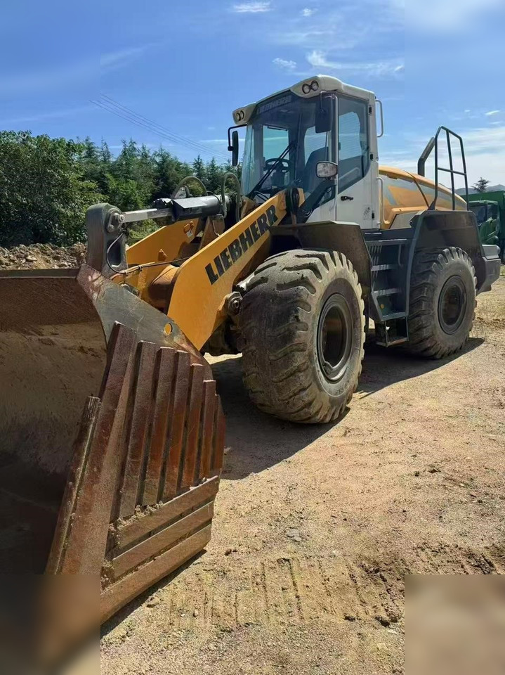 2020 LIEBHERR L550 - Riteņu iekrāvējs: foto 1 2020 LIEBHERR L550 - Riteņu iekrāvējs: foto 1