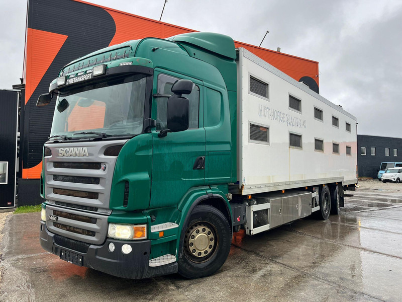 Scania G 480 6x2*4 BOX L=9212 mm / COOLANT LEAKAGE ON 3 RD CYLINDER - Kravas automašīna dzīvnieku pārvadāšanai: foto 2 Scania G 480 6x2*4 BOX L=9212 mm / COOLANT LEAKAGE ON 3 RD CYLINDER - Kravas automašīna dzīvnieku pārvadāšanai: foto 2