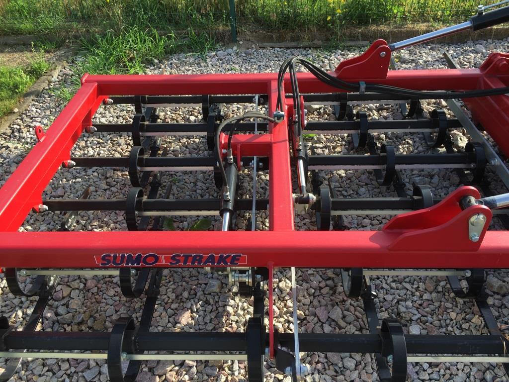 Sumo - Ecēša: foto 4 Sumo - Ecēša: foto 4