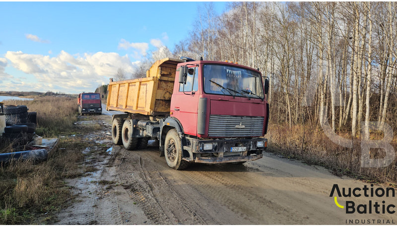 Maz 551669 - Kravas automašīna pašizgāzējs: foto 2 Maz 551669 - Kravas automašīna pašizgāzējs: foto 2