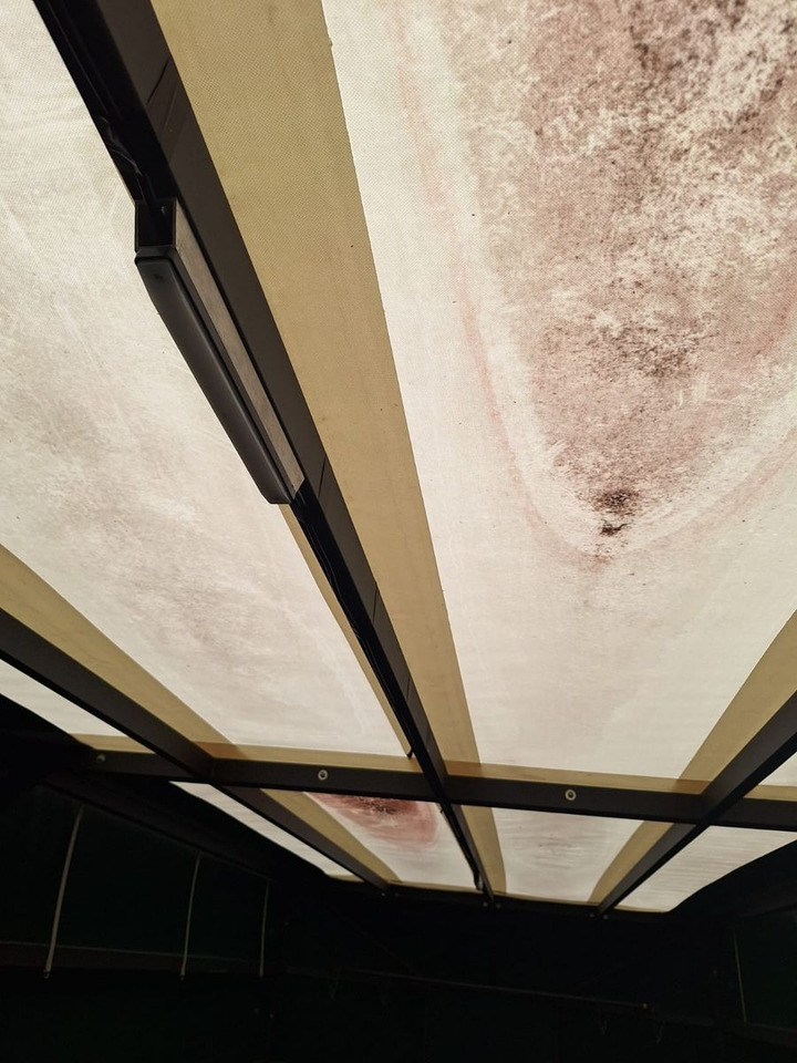 Piekabe ar tentu Böckmann Großraumanhänger Jagdanhänger Hasenwagen: foto 9