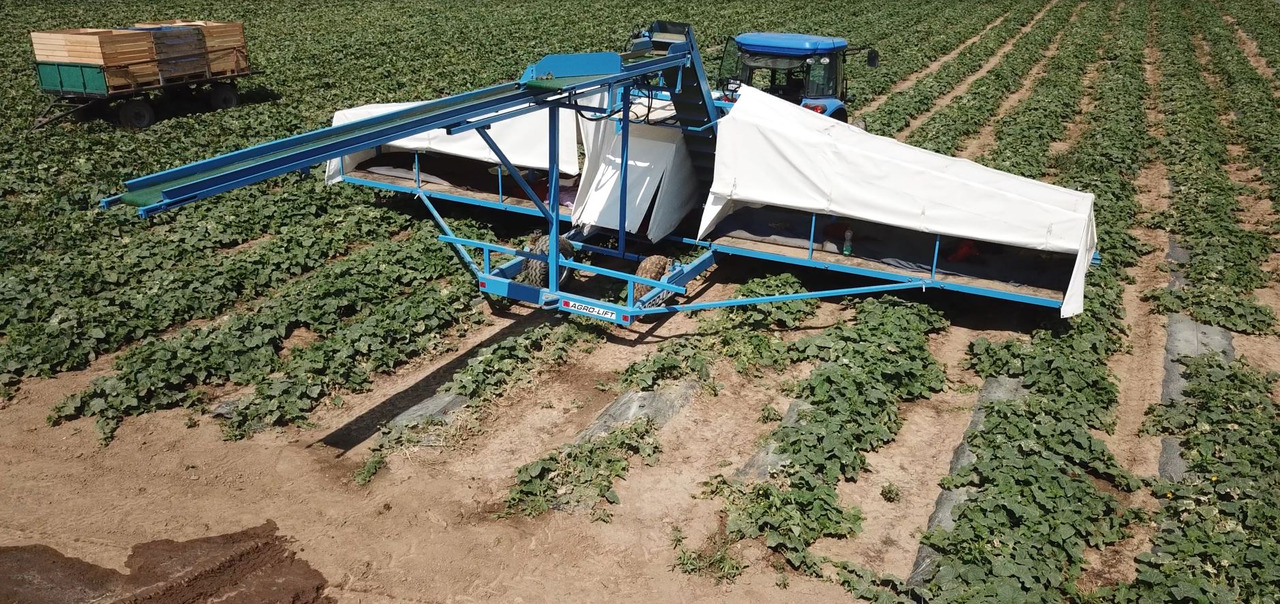 AGRO-LIFT Kombajn do ogórków - Kombains: foto 3 AGRO-LIFT Kombajn do ogórków - Kombains: foto 3