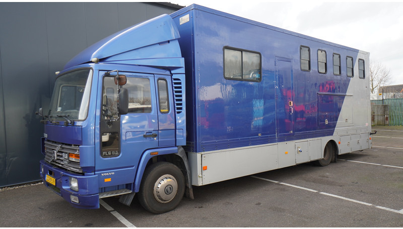 Volvo FL 6-9 HORSE TRANSPORT 341.000KM MANUAL GEARBOX - Zirgu kravas automašīna: foto 3 Volvo FL 6-9 HORSE TRANSPORT 341.000KM MANUAL GEARBOX - Zirgu kravas automašīna: foto 3