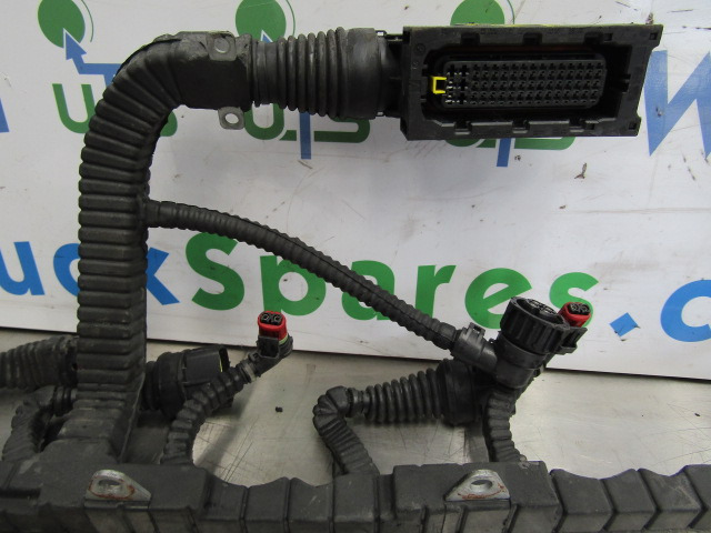DAF XF 105 PACCAR INJECTOR/ECU HARNESS P/NO 1696501/00 - Elektrosistēma - Kravas automašīna: foto 2 DAF XF 105 PACCAR INJECTOR/ECU HARNESS P/NO 1696501/00 - Elektrosistēma - Kravas automašīna: foto 2